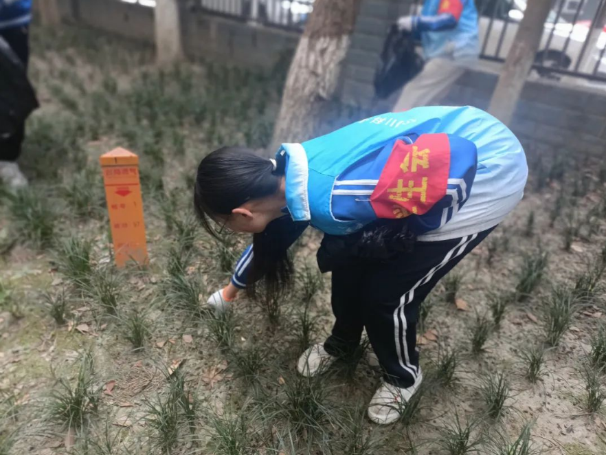 创文创卫在行动，我们的队伍向太阳！学雷锋活动进社区