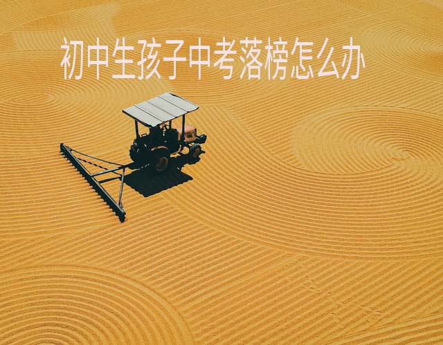 初中生孩子中考落榜怎么办图片