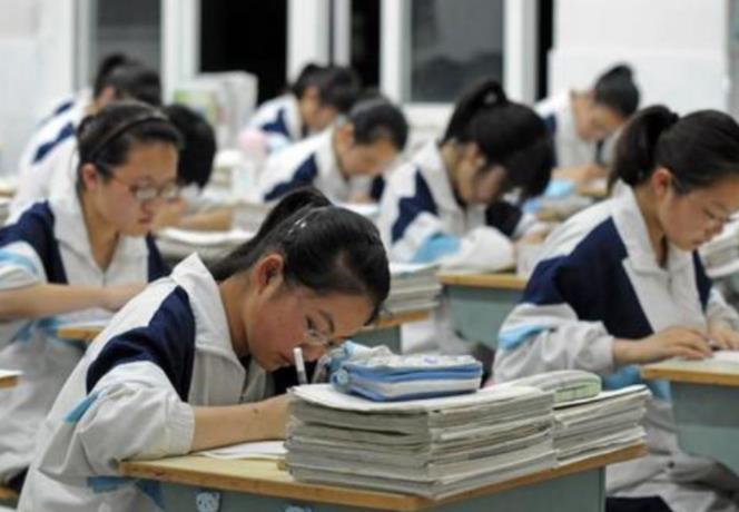 女生就业率高的专业排名有哪些