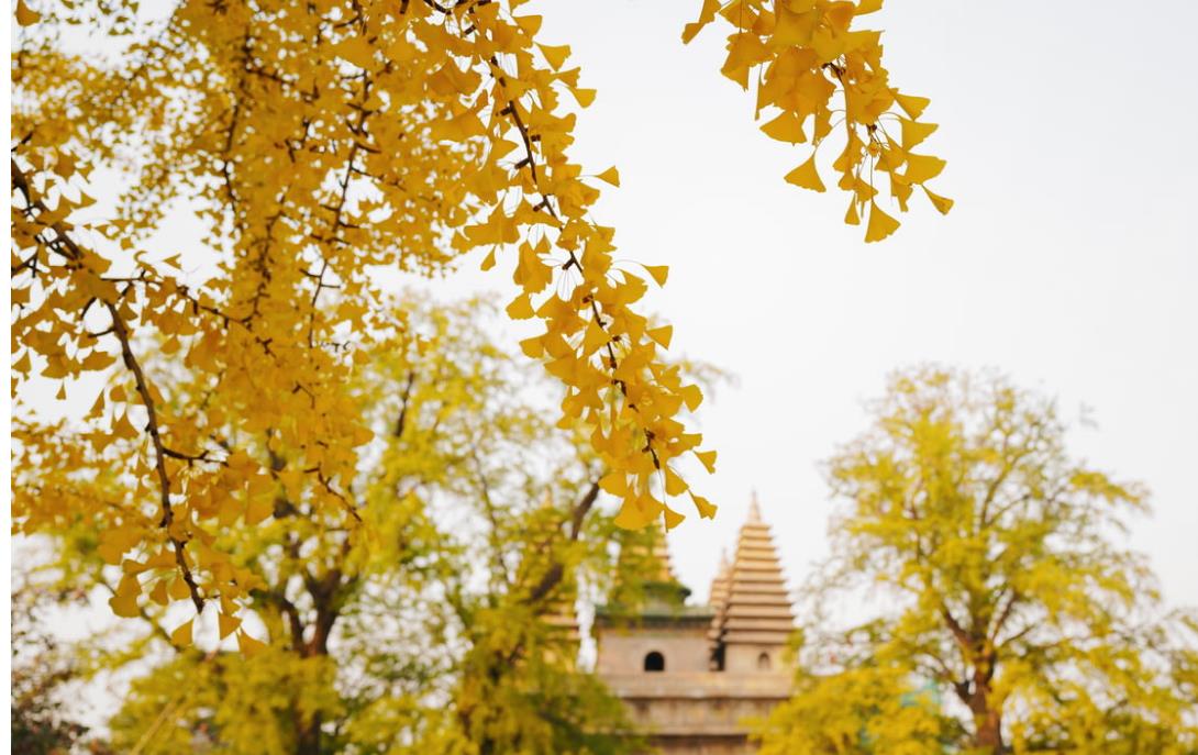 快中考了，孩子成绩不理想怎么办