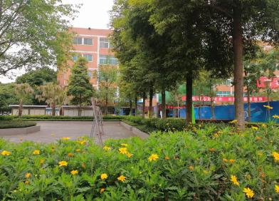 成都科创技工学校温江校区有多大